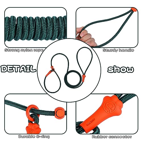 Slip Lead Dog Leash Dog Leash for Small Medium Large Dogs 6ft No Pull Dog Leash 8 Colors Classic Dog Leash Dog Rope deep Green  Cucciolini Doodles Slip lead dog leash dog leash for small medium large dogs 6ft no pull dog leash 8 colors classic dog leash dog rope deep green   cucciolini doodles