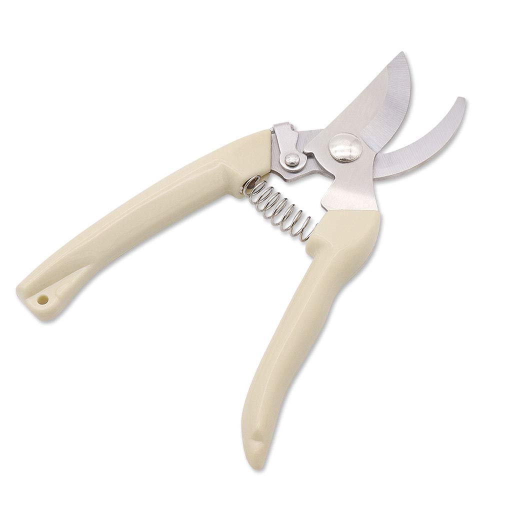 Cesoie per potatura, Cesoie per potatura a Mano, Cesoie per Rami di Frutta, Cesoie per Rami Spessi, Cesoie per invasatura, Manico in Gomma Antiscivolo (A 175 * 45 * 2,5 mm)