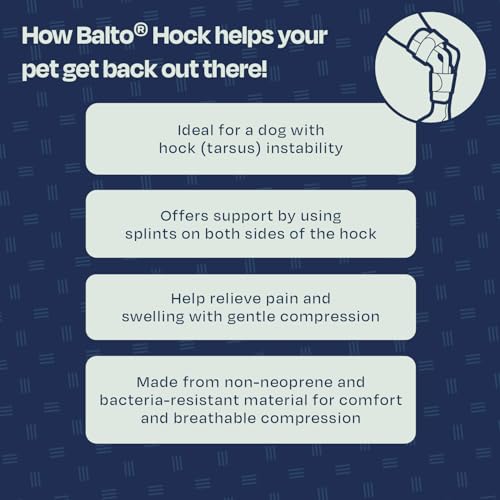 Image of Balto Hock Brace - Dog Brace with Aluminum Splints - Pre /Post Surgery Helps Support Arthritis and Unstable Joints - Back Leg Support (Large)