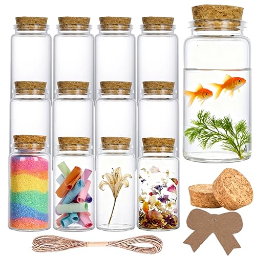 Ksnowqi 12 Pièces 100ml Transparent Mini Bocaux En Verre Avec Bouchons, Pot avec Bouchon Liege, Mini Fiole en Verre avec Bouchon, Pots à Épices en Verre...