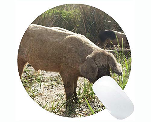 YENDOSTEEN Cute Pig Computer Round Mouse Pad, Mammal Funny Cute Piggy Gaming Round Mouse Pad