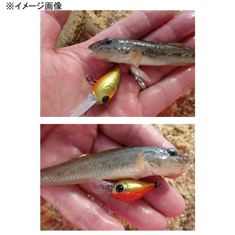 Amazon.co.jp: ダイワ(DAIWA) ハゼクランク ハゼクラMR アカキン