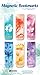 Angelstar 72471 Inspirational Magnetic Bookmark Set of 6, 2-1/2-Inch