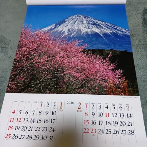 A.2026 �x�m�R�Ǌ|���J�����_�[