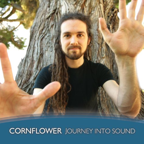 Journey Into Sound Cornflower Digital Music