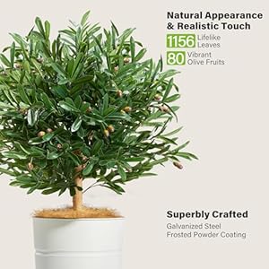 KOL 4.2FT Artificial Olive Tree with Galvanized Steel White Tall Planter, Realistic Fake Faux Olive Silk Tree & Superbly Crafted Flower Pot, Modern Elegant Home Office Living Room Decor Indoor Outdoor KOL 42FT Artificial Olive Tree with Galvanized Steel White Tall Planter Realistic Fake Faux Olive Silk Tree Superbly Crafted Flower Pot Modern Elegant Home Office Living Room Decor Indoor Outdoor
