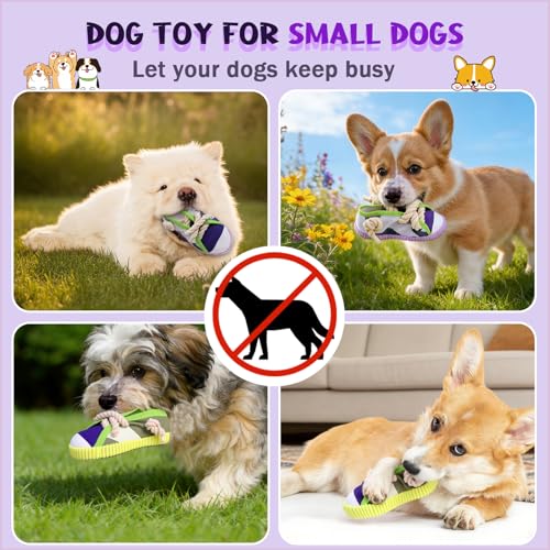 Smivyhp 2 Stück Hundespielzeug Kleine Hunde Intelligenz Welpenspielzeug Quietschend Kauspielzeug Wurfspielzeug Apportieren Für Welpen Kleine Mittlere Hunde