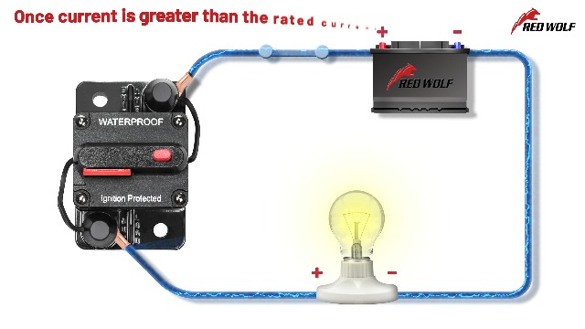 Amazon.com: RED WOLF 50A Amp Circuit Breaker for Boat