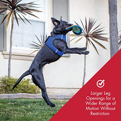 H&K Hudson Harness | Blue (Small) | Easy Control Step-in Mesh Vest Harness for Dogs with Reflective Strips for Safety… - Image 4