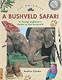 Get Bushwise: A Bushveld Safari