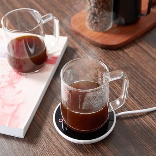 ZMZKKLL 16 oz Borosilicate Mugs