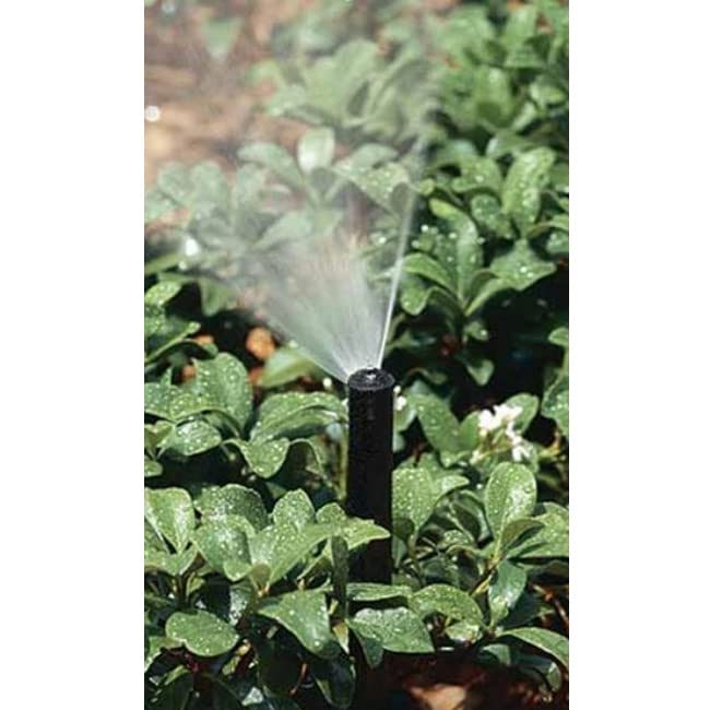 Suinga 50 x Difusor Aspersor de riego Krain NPS 415, 10 cm con tobera 15A, alcance 4,5 metros, negro