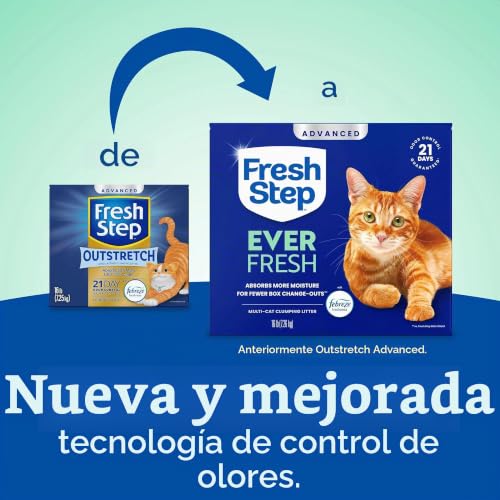 Consejos para Comprar Fresh step arena que puedes comprar esta semana. 26 Consejos para Comprar Fresh step arena que puedes comprar esta semana. 26