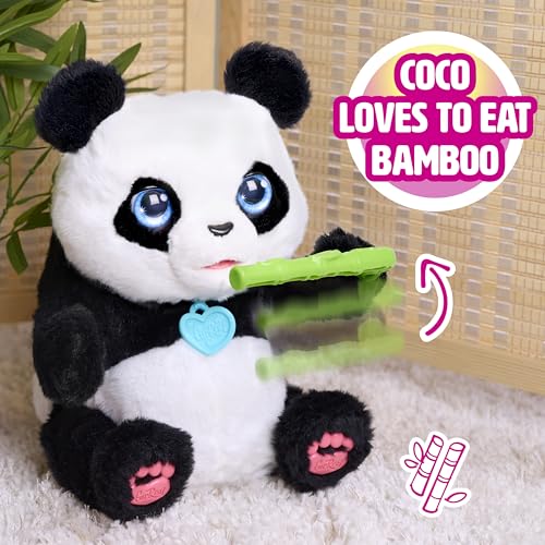 Just Play furReal Coco, der Panda, interaktives Plüschtier, über 60 Geräusche & Reaktionen, 27cm Kinderspielzeug ab 4 Jahren