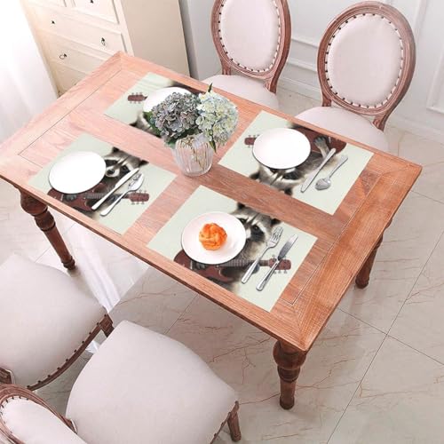 Sets de table faciles à nettoyer et lavables pour protéger la table - 6