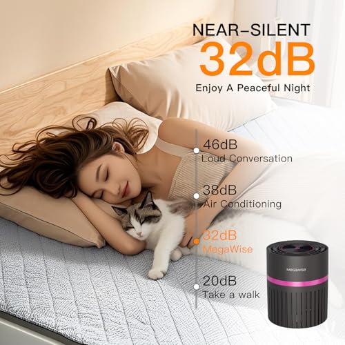 Image of MEGAWISE Portable Air Purifier, H13 True HEPA 3-in-1 Filter, 99.97% 0.3 Micron Filtration, Dust Smoke Pet Dander, Ozone Free, Ultra-Quiet 24dB, Small Tabletop Air Cleaner for Bedroom Home Office