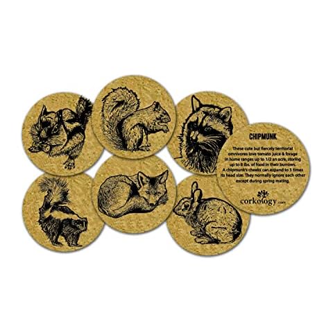 Corkology Urban Critters Coaster Set, Cork Cover