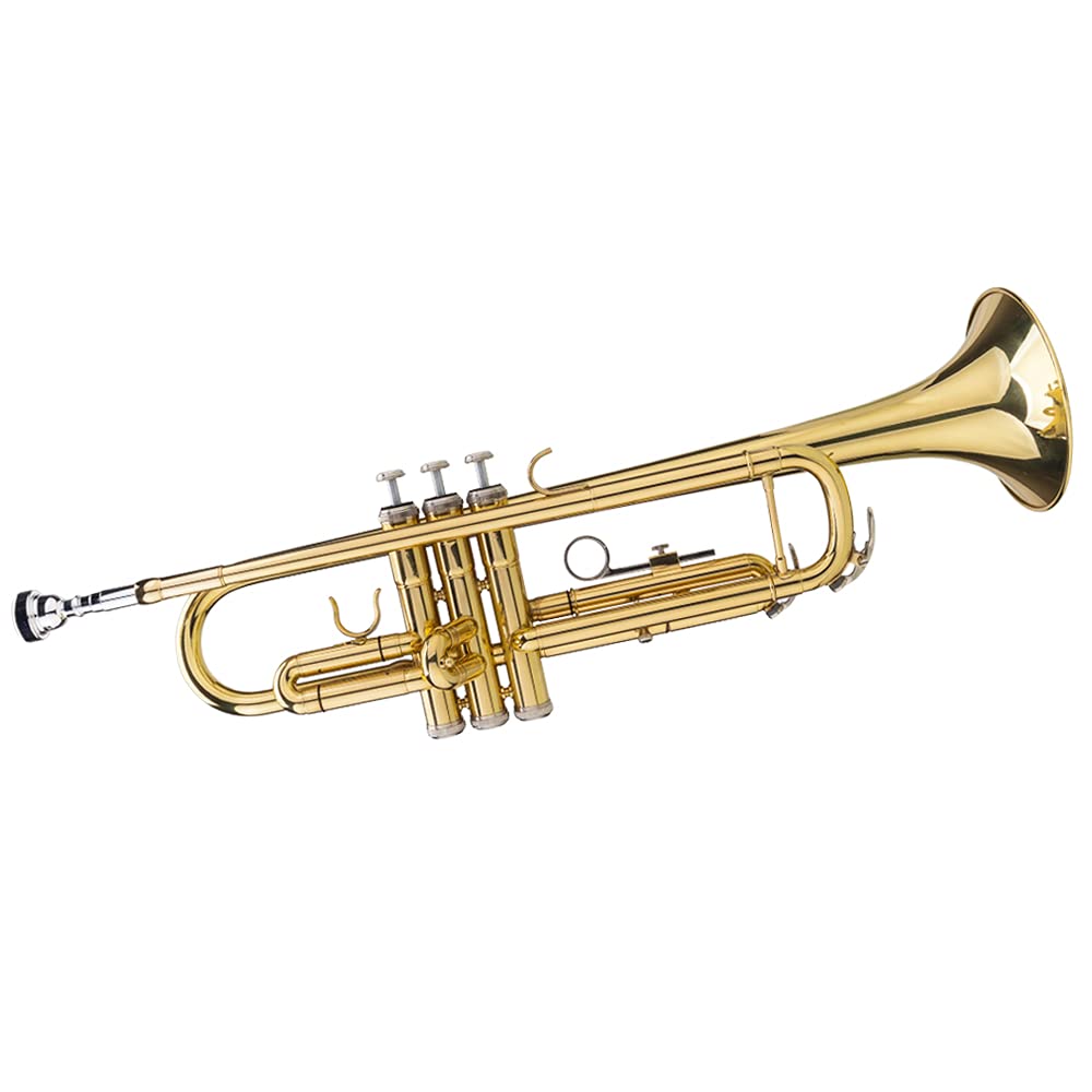 Amazon.com: Vasitelan Brass Standard B Trumpet Instrument with