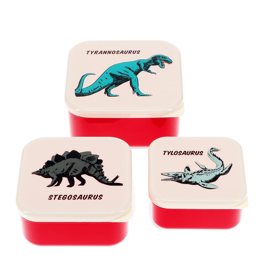 Rex London Prehistoric Land Snack Boxes (Set Of 3) - Dinosaurs