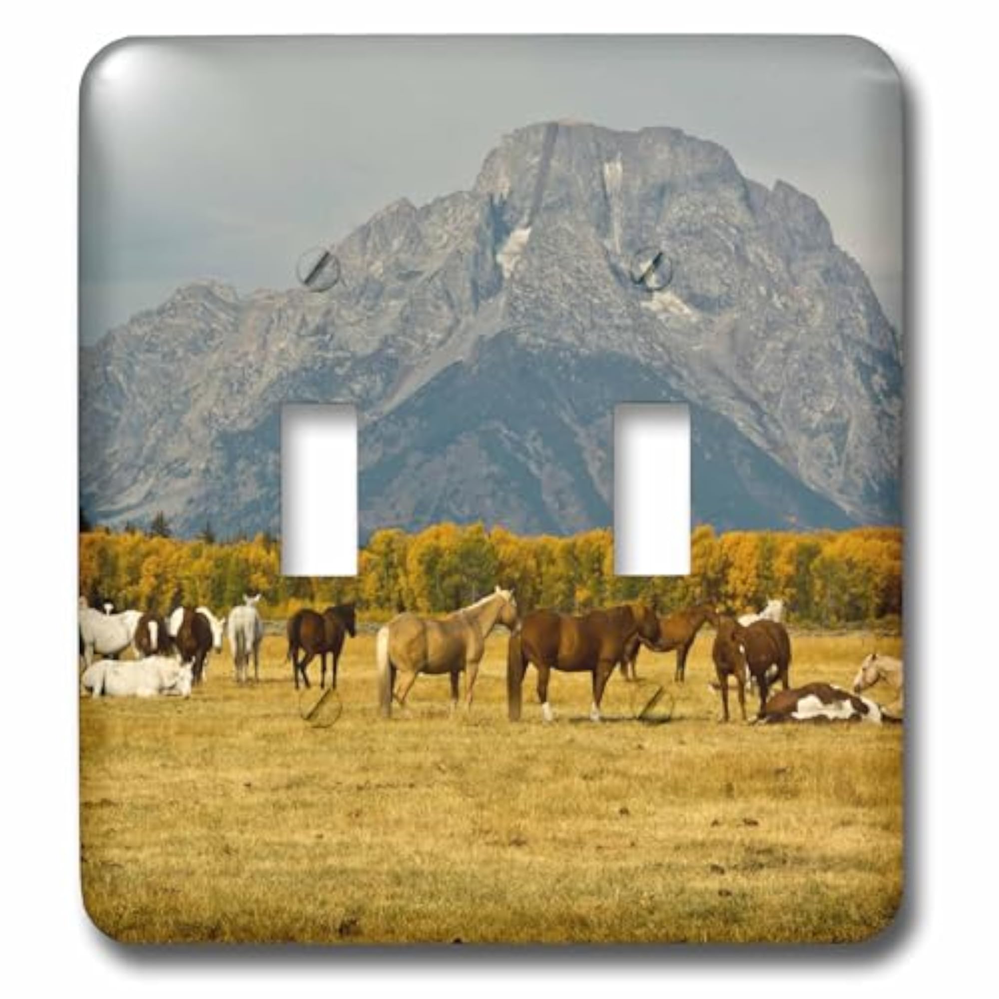 Horses at Elk Ranch Flats Toggle Switch