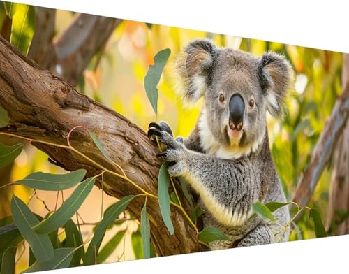 Broderie Diamant Kit Complet Koalas pour une décoration de chambre zen 70x140cm