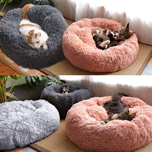 Queta Katzenbett Schöne Tierbett, Klein Hund Bett Haustierbett Plüsch Weich Runden Katze Schlafen Bett (50cm, Hellgrau)