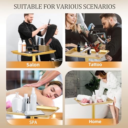 Image of Salon Senor Salon Tray on Wheels Tattoo Rolling Tray Salon Service Cart Height Adjustble Hair Service Color Tray Gold