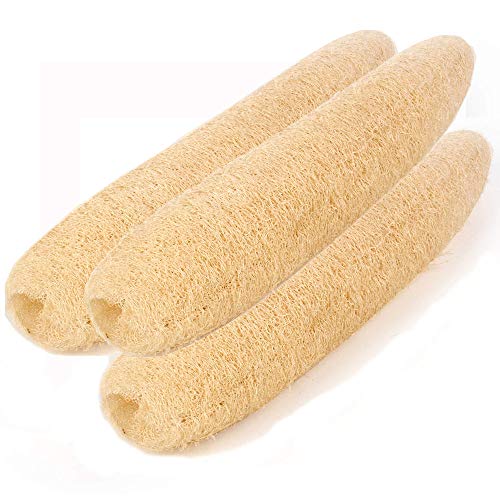 LOBO Natural Shower Loofah Sponges Large Whole Organic Luffa Exfoliating Sponge for Daily Bath Loofa Scrubbers Sponges SPA Beauty - 3 PCS