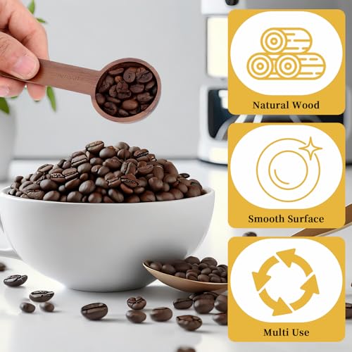 Kaffeelöffel aus Walnuss Holz 15 ml Holz Kaffee Messlöffel Löffel Kaffee für Messen von Kaffeebohnen Gemahlene Bohnen Tee
