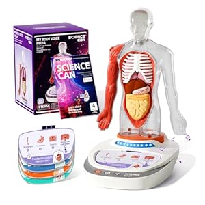 Science Can Human Body Model for Kids, Interactive Human Anatomy Talking Model – 11 Inch Realistic Anatomical Assembly Kit 15PCS Removable Parts and Guide STEM Educational Toys for Kids Aged 6+ Gifts