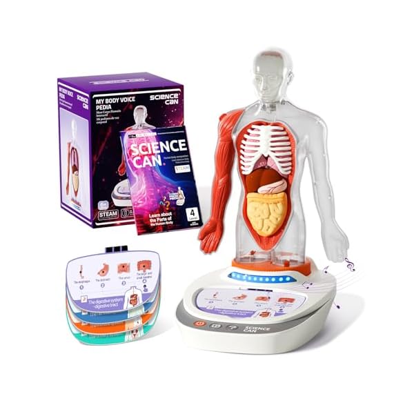 Science Can Human Body Model for Kids, Interactive Human Anatomy Talking Model – 11 Inch Realistic Anatomical Assembly Kit 15PCS Removable Parts and Guide STEM Educational Toys for Kids Aged 6+ Gifts