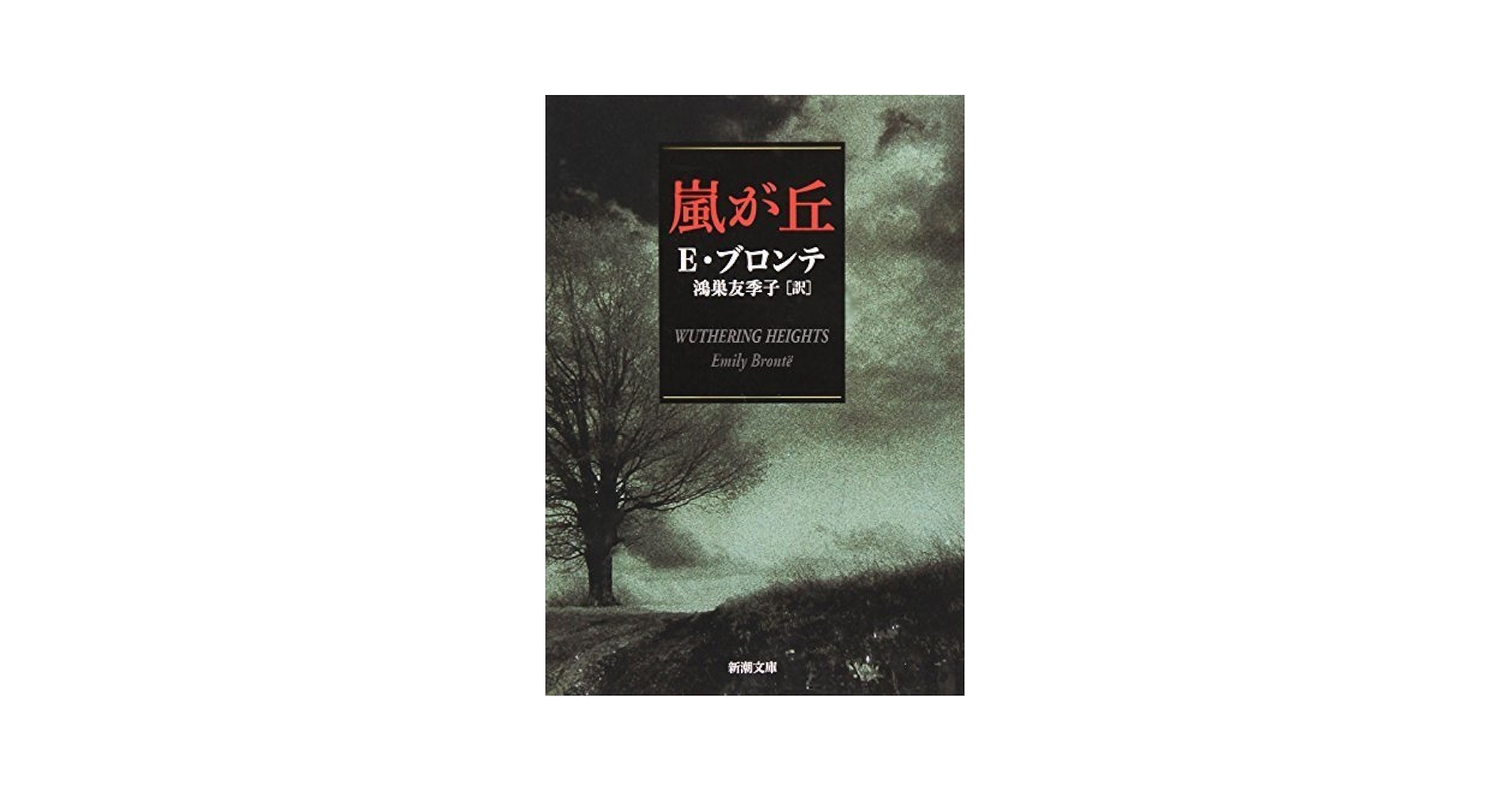 ブロンテ関連書籍 Amazon.com: ブロンテ姉妹の世界: 9784623057849: Yoshitsugu