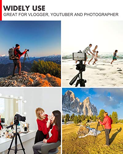 KINGJOY Compact Light Weight Tripods, Travel Portable Camera Aluminum Tripod with Fluid Head for Photography Video Shooting, Support Canon Nikon Sony DSLR Camcorder with Carry Case, Black, VT-860