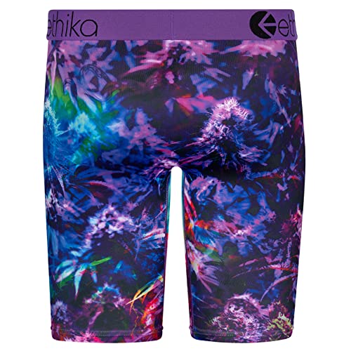 Ethika Mens Boxer Brief Foundation3