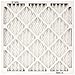 Flanders PrecisionAire 84858.011836 18 by 36 by 1 NaturalAire Standard Pleat Air Filter, 12-Pack