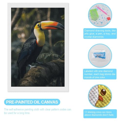 Kits d'art diamant adulte toucan multicolore diy - 3