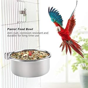 HEEPDD Recipiente para Colgar de Acero Inoxidable, Comida para pájaros, Comida para el Agua, comedero, Loro, Periquito, Jaula de pájaros, Accesorio, para Animales pequeños, pinzones, Conure (L)