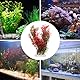 CENPEK Künstliche Aquariumpflanzen, Aquarium-Dekorationen, Simulation von Wasserpflanzen, 24 x 8 cm