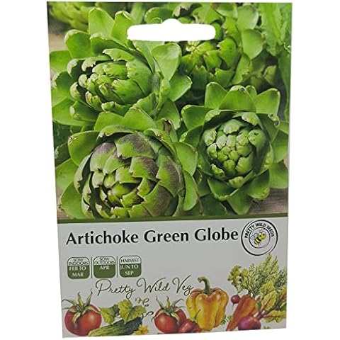 Artichoke Green Globe Seeds - High Value Crop Cover
