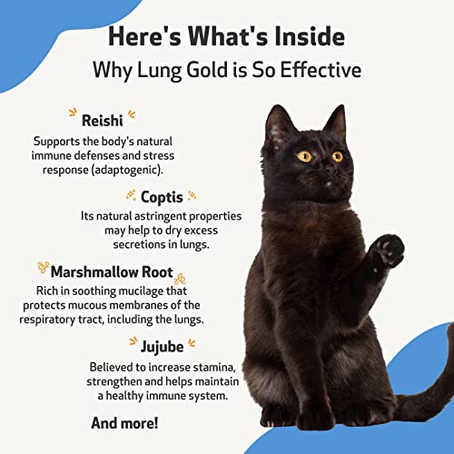 Pet Wellbeing Lung Gold For Cats - Vet-Formulated - Lung & Respiratory Immune Support, Open Airways, Easy Breathing - Natural Herbal Supplement 2 Oz (59 Ml) #TOP4