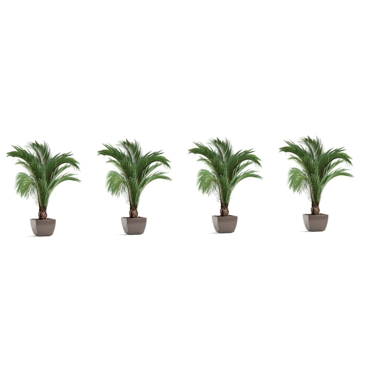 Vinilos decorativos plantas en macetas Cabilock para cubrir imperfecciones en paredes