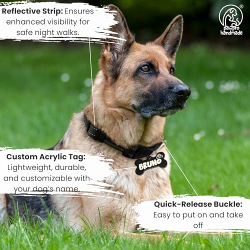Image of PawPro Reflective Nylon Dog Collar - Custom Bone Tag with 5‑Foot Heavy‑Duty Leash - Soft Padded Handle, 360 Swivel Clip - Adjustable Pet Collar for Medium & Large Dogs (Graphite Black, Collar+Leash)