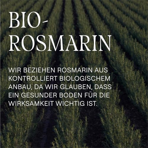 WELEDA Bio Rosmarin Revitalising Shampoo - Naturkosmetik Haarpflege Seife mit Hyaluronsäure & Rosmarinöl für mehr Volumen & eine gesunde Kopfhaut - Haarshampoo ohne Silikone & Sulfate (vegan, 250ml)