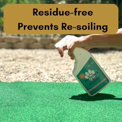 image for NOYATECH Pet Stain and Odor Remover - Enzyme Carpet Cleaner and Pet Od