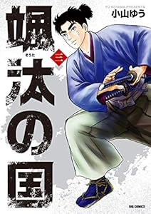 颯汰の国（３） (ビッグコミックス)