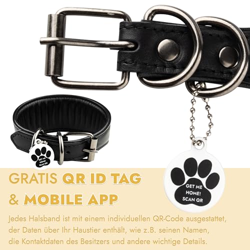 FAVPET Handbemalter Echtleder Windhund Halsband Breit mit QR Code Anhänger, Weiches Lederhalsband Hund Whippet Italienisches Windspiel Saluki Lurcher Spanischer Galgo Podenco (Sonnenblumen, XS)