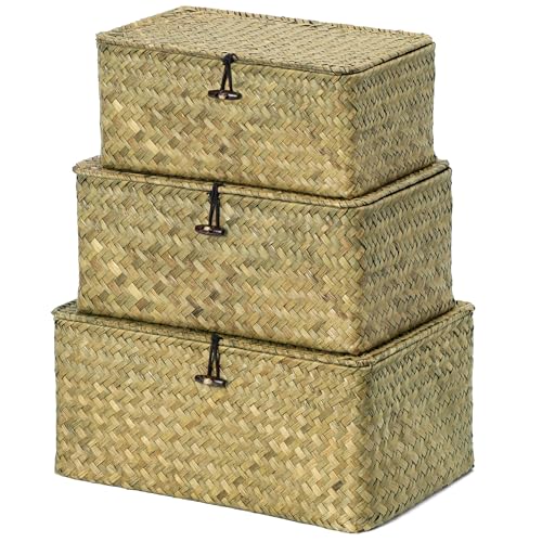 Nonam Seagrass Storage Basket with Lid, Set of 3, Dark Moss Green