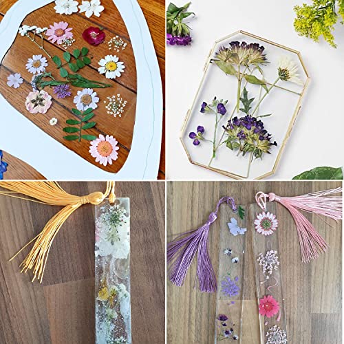 Flores prensadas secas con pinzas set 40 piezas miniatura 6