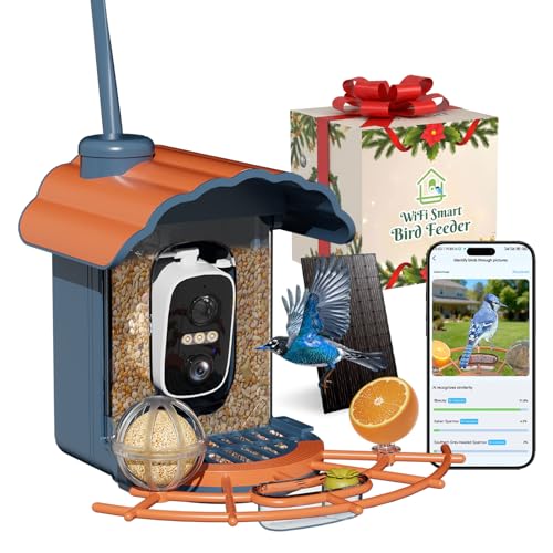 40% Off Smart Bird Feeder with Camera Solar Powered - Image 2