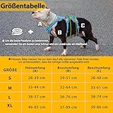 Huntboo Sicherheitsgeschirr Hund Ausbruchsicher, Hunde Geschirr mit Gepolstertem Griff, Reflektierendes, Wasserdicht, Verstellbare Weste für Mittelgroße Hunde, die Spazieren Gehen (Blau, L)